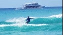 Surf Dog Dude. Oahu, Surfing photo