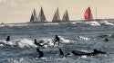 Surf and Sail. Oahu, Scenic photo