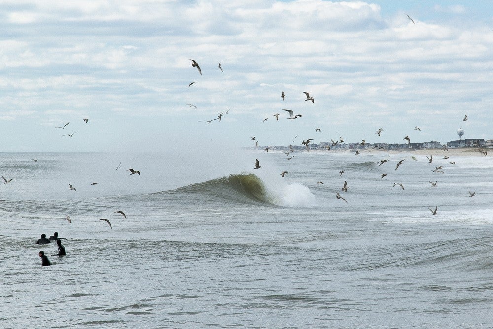 NJ Perfection || Follow along on insta @nicktribuno