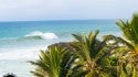 North coast of Dominican republic  come surf with us