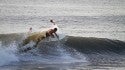 Hurricane Katia. South Carolina, Surfing photo