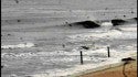 4.5.08
at work, damnit. Delmarva, surfing photo