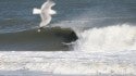 Ocmd
Clifton vs. Seagull pic by Lee @ Malibus