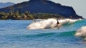 Morning Exercise . Oahu, Surfing photo