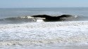 dsc 4371 -sm
Mar 8 - OC. United States, Empty Wave photo