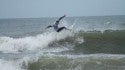 Vb And Obx Photos. Virginia Beach / OBX, Surfing photo