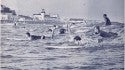 1966? Crowd Frenzy / 14th Street, OCNJ / Surfing Ilustrateds