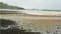 Pavones Beach
Pavones Beach

[url]http://www.surfvoucher.com/pavones/[/url]