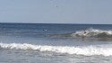 Surf. New Jersey, Surfing photo