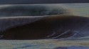 4-17-11
tube. Delmarva, Empty Wave photo