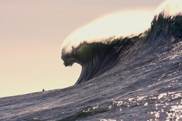 Photoshop Or No?
THIS IS NOT MY PHOTO!! JUST WANTED