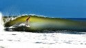 leslie swell 2 038
Jonny Barclay. United States, Surfing photo