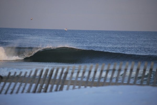 Birds Barrel View. United States, Empty Wave photo
