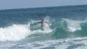 Jensen Beach Fl. South Florida, surfing photo