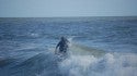 Wind Swell Madness!
ns iri. Delmarva, Surfing photo