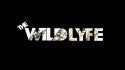 The Wild Lyfe Teaser 1