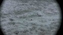 North County Surf