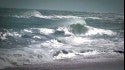 Florida Ground Swell