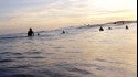 Sunset Surf