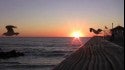 New Jersey Surf 2008