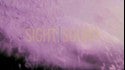 Sight Sound