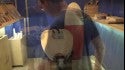 Spirare Surfboard Shaping