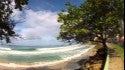 Enchanted Island