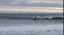 Shawn MacDonald Shredit