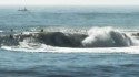 big wednesday sandspit