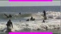 Surf Roots