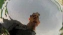 PR-2013 HandCam