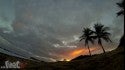 Briggs in Puerto Rico