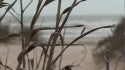 Surfing Matagorda Texas