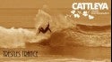 Trestles Trance
