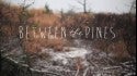 Between the Pines
