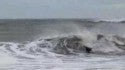 OBX in march
