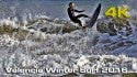 Valencia Winter Surf 2016 [4K]