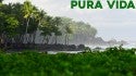 PURA VIDA! | STOK3 Ep. 4