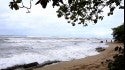 Tres Palmas