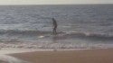 Sound Surfing 2017