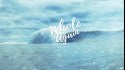 Whole Again | A Depiction of a New York September