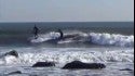 Surfing New York 1/9/2018 (mounted camera)