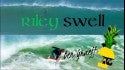 Riley Swell | Sebastian Inlet (Edit) March 6, 2018