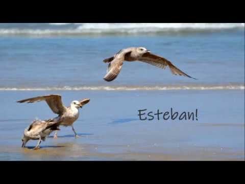 Esteban!