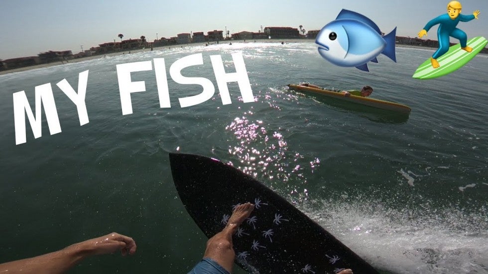 SURFING MY FISH for the FIRST TIME