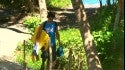 Pierre Louis Costes in Bali