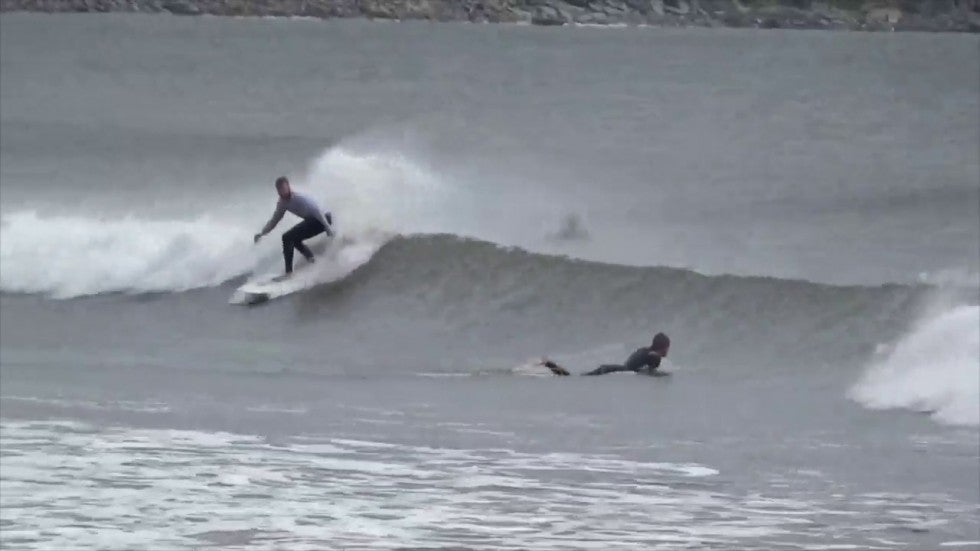 Hard Offshores Hurricane Michael