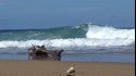 Hecho en Puerto Rico