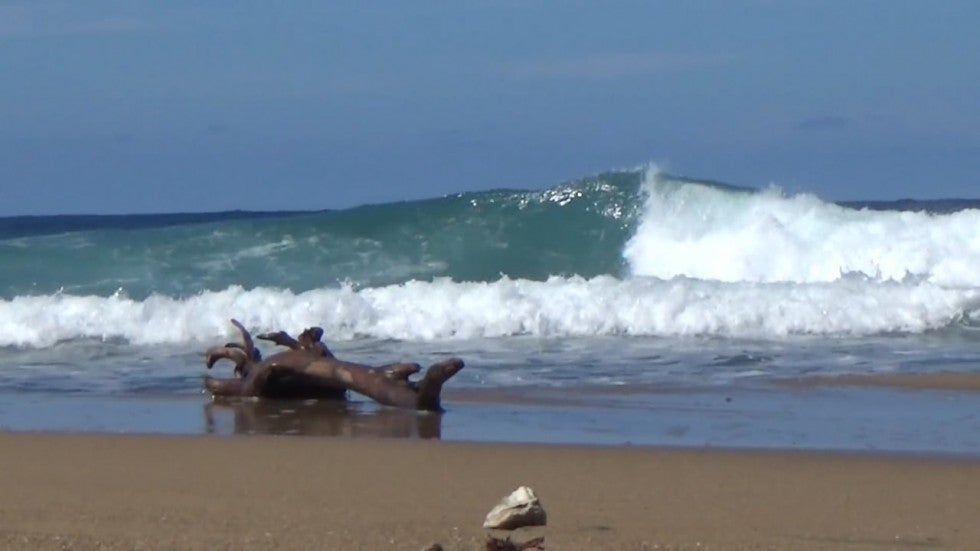Hecho en Puerto Rico