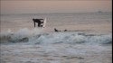 WINTER SURFING NY & NJ JANUARY 2019 - SO PITTED!